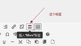 图片[3]_WP博客程序建站_wordpress“more”标签如何使用？_皮站网