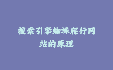 搜索引擎蜘蛛爬行网站的原理_皮站网