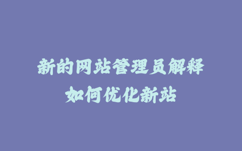 新的网站管理员解释如何优化新站_皮站网